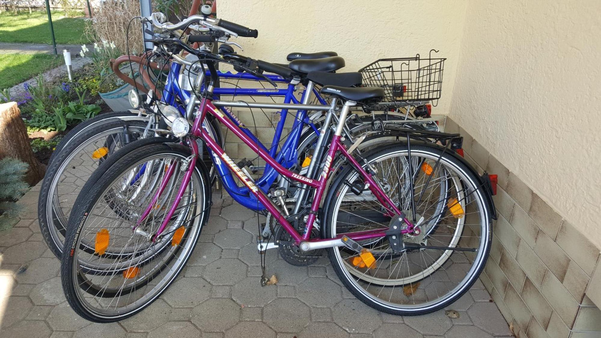Ferienwohnung Miezerle Steisslingen Exteriör bild